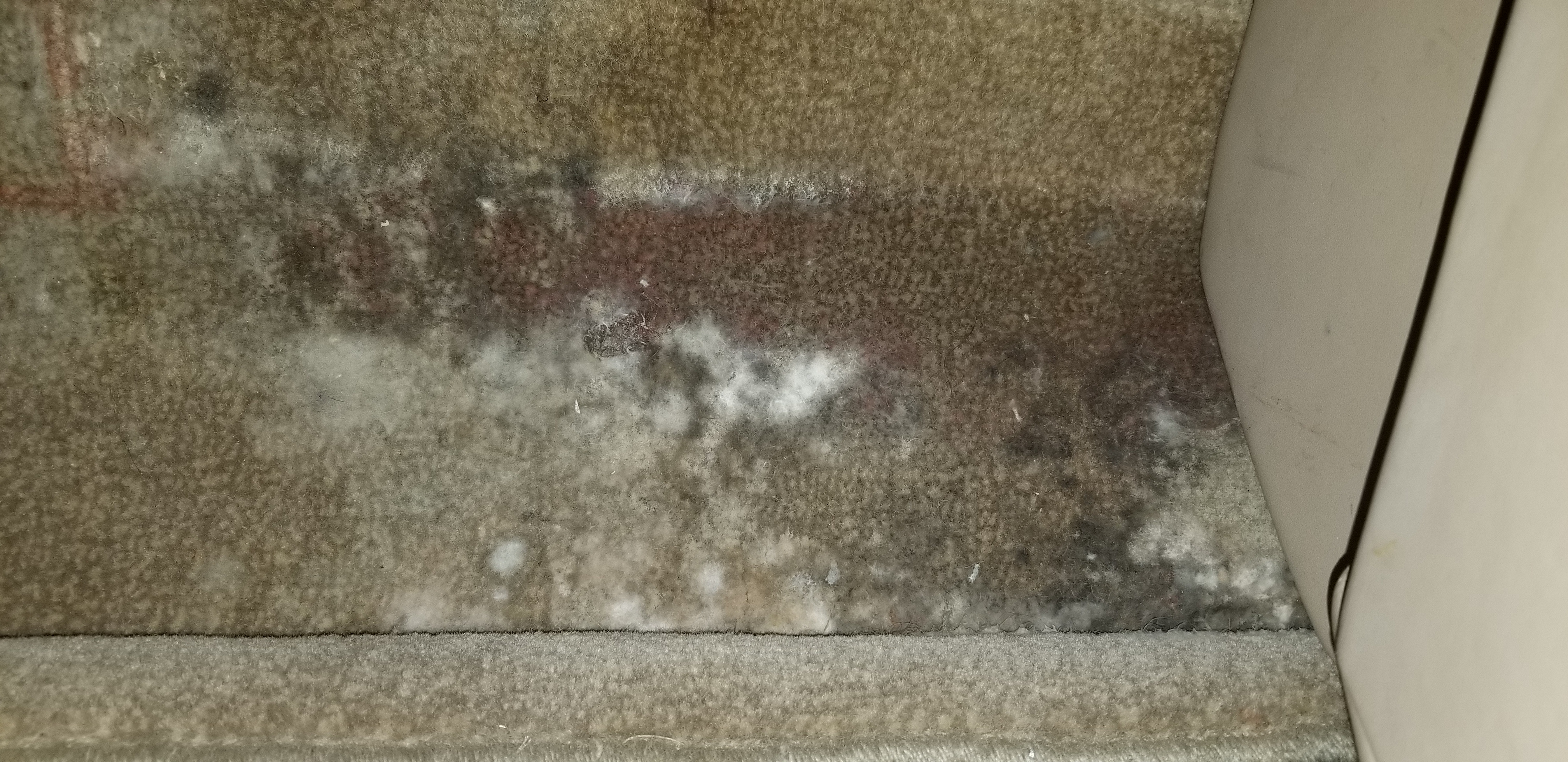 Carpet damage due to maintenance runner overuse1.png